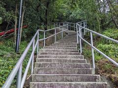 -板樟山森林公园