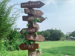 -田园东方蜜桃村的田野营地