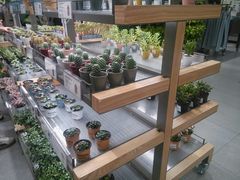 -鹿岛生活(熙地港店)