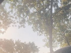 -日照灯塔风景区