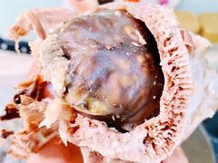 羊脑-洪记白水羊头(天坛店)