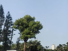 -万绿园
