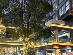 -恒生万鹂广场(唐镇店)