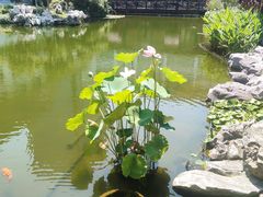 -苏苑饭店-中餐厅(长桥地区店)