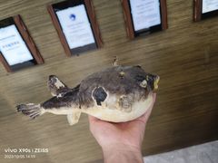 -肆月河豚·新淮扬(金融街店)