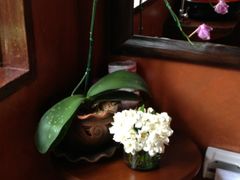 厕所-Dash Teak House