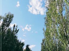 -东郊湿地公园