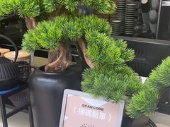 -BeauTea水仙(coco park店)