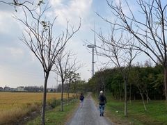 -上海长兴岛郊野公园