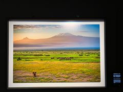 -罗红摄影艺术馆