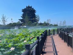 -蟹天蟹地农家菜·阳澄湖大闸蟹(浅水湾店)