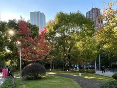 -人民公园-相亲角