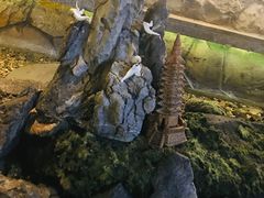 -首秀·四川料理(星耀101店)
