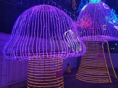 -新五爱道夜市