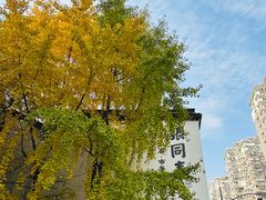 -亭亭鲜花店(中山北路店)
