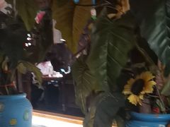 -凯撒城堡西餐厅(颐和国际店)