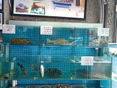 -大城·烧烤海鲜大排档(台东店)
