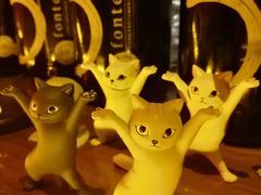 -虚荣精酿酒屋(五羊店)