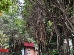 -小南山公园