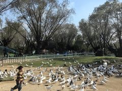 -南通濠河风景名胜区