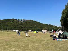 -羊山湖公园