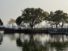 -无锡蠡湖国家湿地公园-蠡园