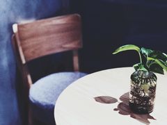 -素匠泰茶(三里屯SOHO工体奶茶店)