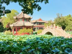 -莲池书院博物馆