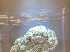 -粤珍轩·家宴·广式茶点(新城广场店)