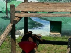 -西霞口神雕山野生动物世界