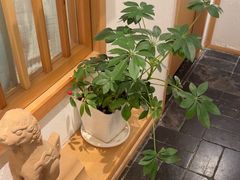 -瓦舍茶馆(聚源路店)