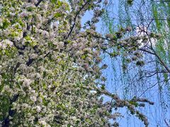 -元大都城垣遗址公园