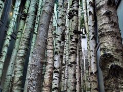 -Metal hands·铁手咖啡