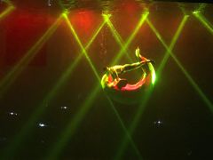 -芜湖新华联大白鲸海洋公园