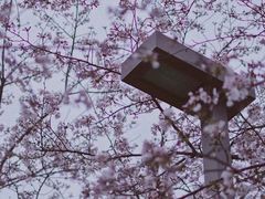 -良渚文化村