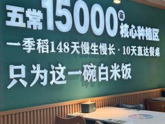 -谷田稻香·砂锅菜(王府井百货店)