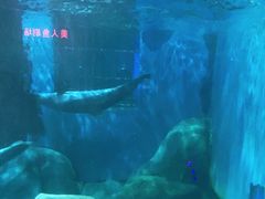 -福州罗源湾海洋世界旅游区