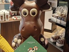 -Laderach 莱德拉(上海环贸iapm店)