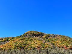 -塞罕坝国家级自然保护区