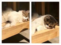 -五月木作·DIY木作文创体验店(北京路店)