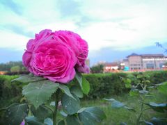 -党河风情线国家水利风景区