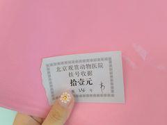 -北京观赏动物医院·24小时大型综合·猫专科·异宠专科