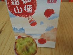 -金砂公园