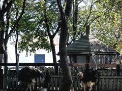 -东海森林温泉度假酒店