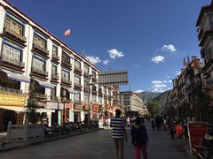 -古树酸奶(八廓南街店)