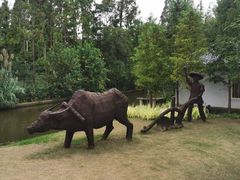 -上海长兴岛郊野公园