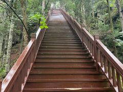 -汤旺河林海奇石景区