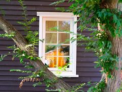 -三鹰之森吉卜力美术馆