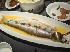 鸡汁大白鱼-南里山房·新淮扬菜(徐汇万科店)