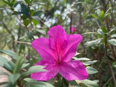 -广东惠东海龟国家级自然保护区